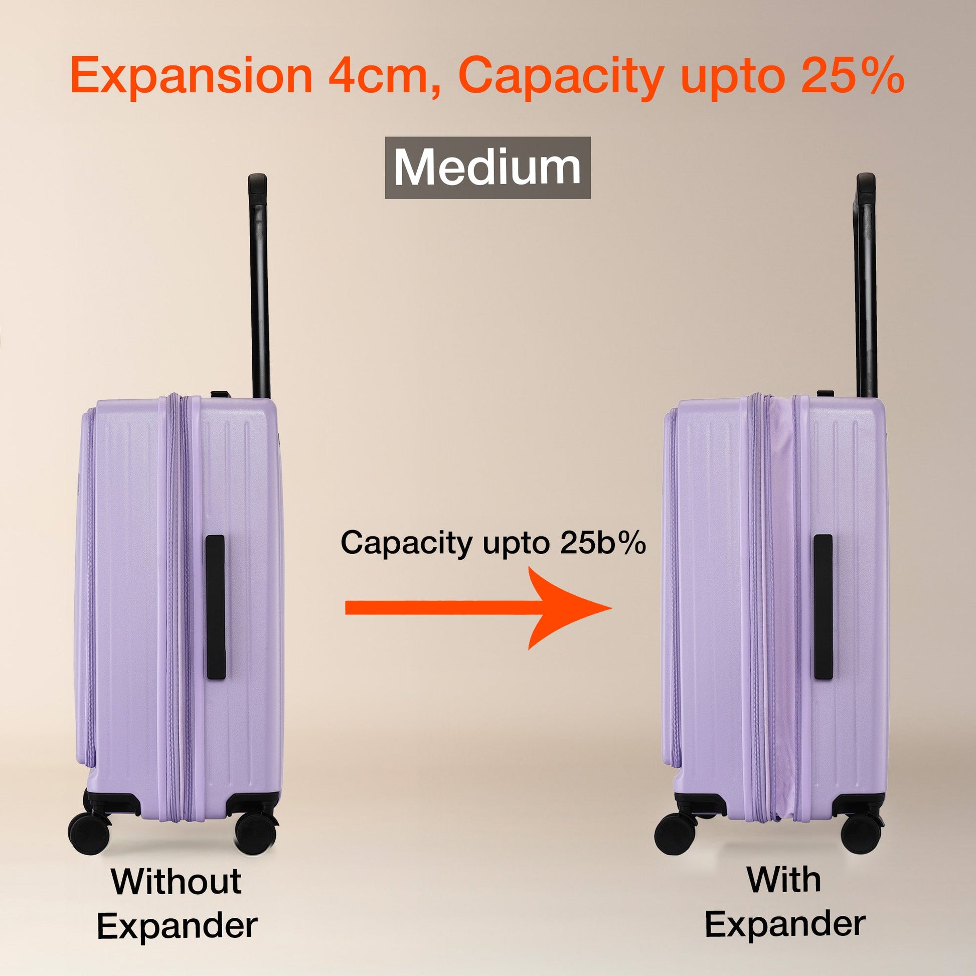 Silicon Valley Hard Luggage